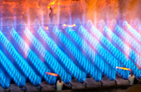 Pattiesmuir gas fired boilers